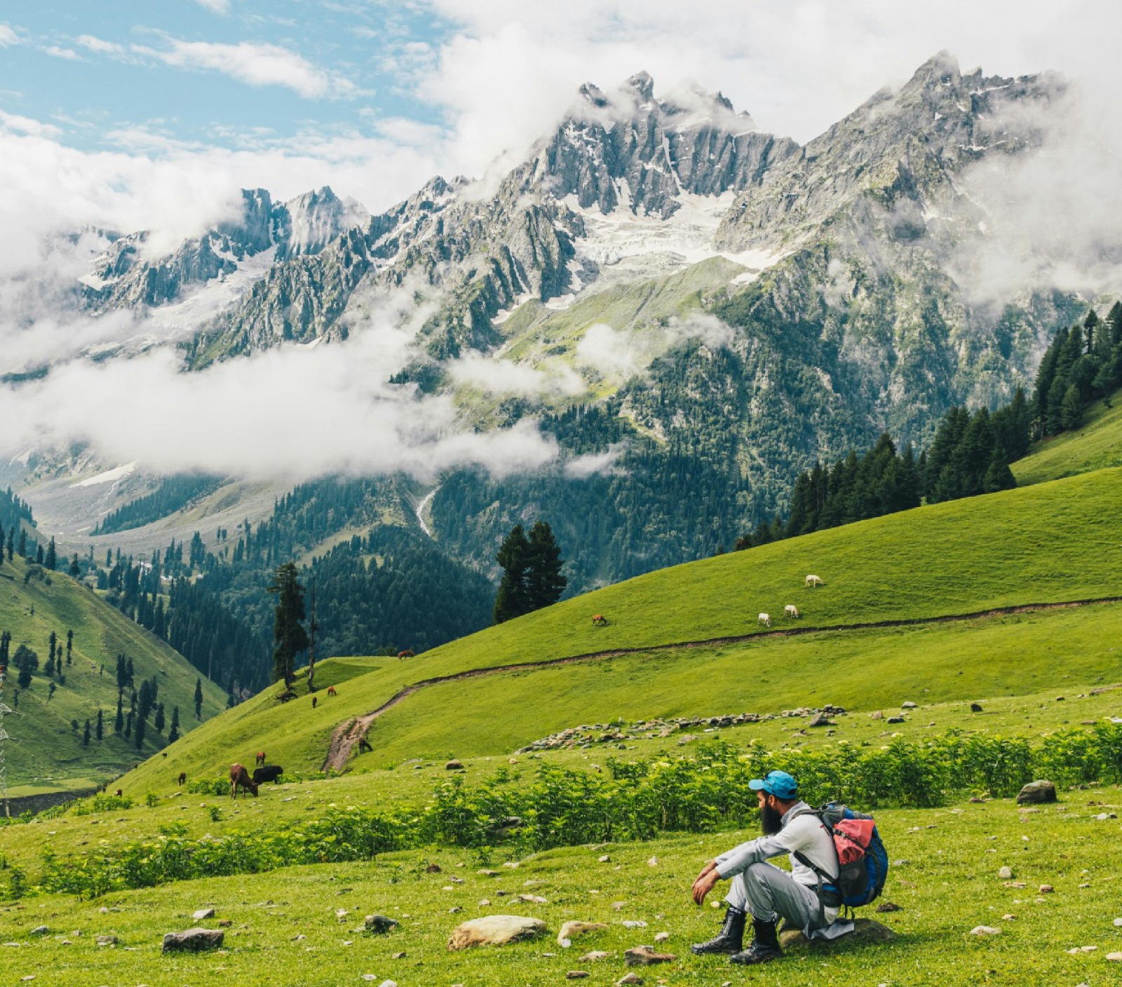 kashmir